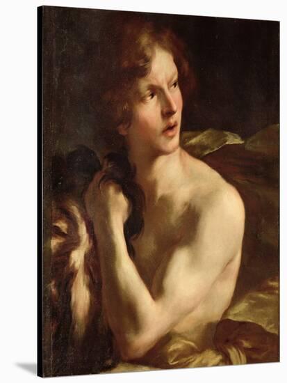 David-Giovanni Lorenzo Bernini-Stretched Canvas