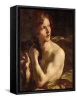 David-Giovanni Lorenzo Bernini-Framed Stretched Canvas