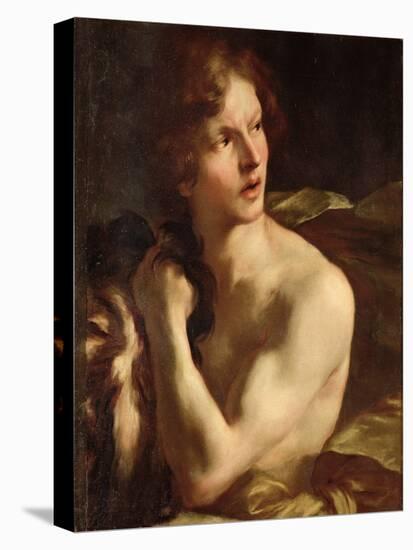 David-Giovanni Lorenzo Bernini-Stretched Canvas