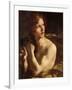 David-Giovanni Lorenzo Bernini-Framed Giclee Print