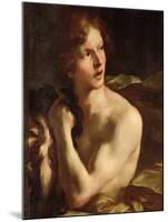 David-Giovanni Lorenzo Bernini-Mounted Giclee Print