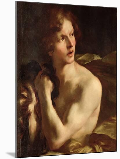 David-Giovanni Lorenzo Bernini-Mounted Giclee Print