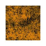 Grass (orange), c.2011-Davide Polla-Premium Giclee Print