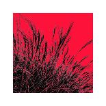 Grass (red), c.2011-Davide Polla-Premium Giclee Print