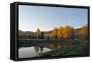 Framed Canvas