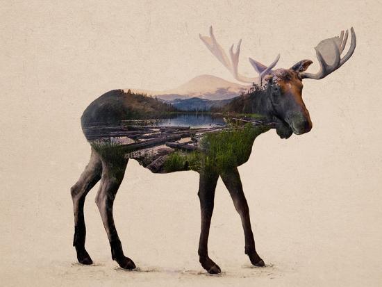 Art Print, , large