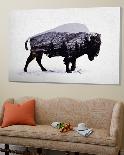 Rocky Mountain Grey Wolf-Davies Babies-Loft Art