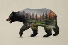 Pacific Northwest Black Bear-Davies Babies-Art Print
