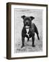 Davinda's Pride Owner: Wright-null-Framed Photographic Print