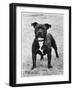 Davinda's Pride Owner: Wright-null-Framed Photographic Print