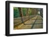 Davis Ferry Bridge over the Wabash River, Tippecanoe Township, Indiana-Rona Schwarz-Framed Photographic Print