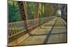 Davis Ferry Bridge over the Wabash River, Tippecanoe Township, Indiana-Rona Schwarz-Mounted Photographic Print