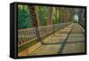 Davis Ferry Bridge over the Wabash River, Tippecanoe Township, Indiana-Rona Schwarz-Framed Stretched Canvas