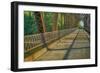 Davis Ferry Bridge over the Wabash River, Tippecanoe Township, Indiana-Rona Schwarz-Framed Photographic Print