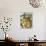Davy Crocket-Angus Mcbride-Giclee Print displayed on a wall