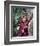 Davy Crockett: King of the Wild Frontier-null-Framed Photo