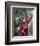 Davy Crockett: King of the Wild Frontier-null-Framed Photo