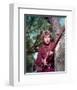 Davy Crockett: King of the Wild Frontier-null-Framed Photo