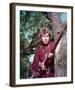 Davy Crockett: King of the Wild Frontier-null-Framed Photo