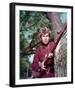 Davy Crockett: King of the Wild Frontier-null-Framed Photo