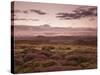 Dawn Above the Clouds on the Long Mynd Near Church Stretton, Shropshire, England, UK, Europe-Ian Egner-Stretched Canvas