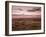 Dawn Above the Clouds on the Long Mynd Near Church Stretton, Shropshire, England, UK, Europe-Ian Egner-Framed Photographic Print