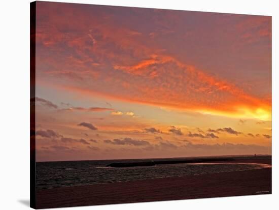 Dawn at Beach-null-Stretched Canvas