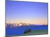 Dawn at Hurricane Hill, Olympic National Park, Washington, USA-Rob Tilley-Mounted Photographic Print
