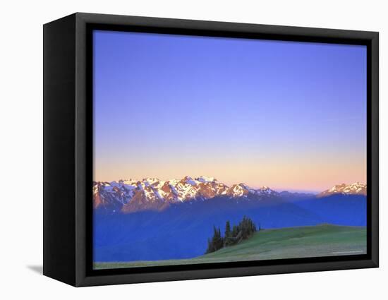 Dawn at Hurricane Hill, Olympic National Park, Washington, USA-Rob Tilley-Framed Stretched Canvas