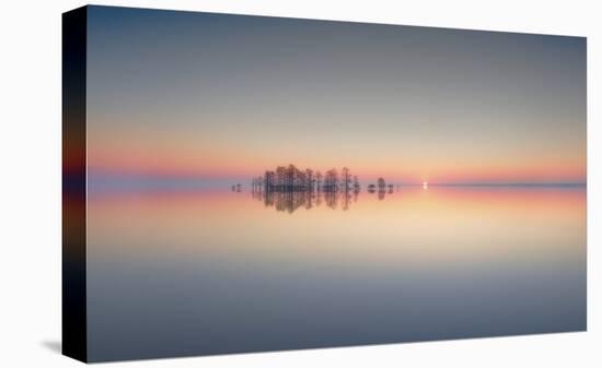 Dawn At Lake Mattamuskeet-Liyun Yu-Stretched Canvas