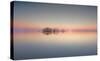 Dawn At Lake Mattamuskeet-Liyun Yu-Stretched Canvas