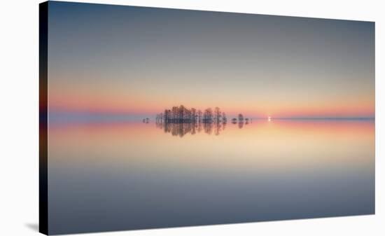 Dawn At Lake Mattamuskeet-Liyun Yu-Stretched Canvas