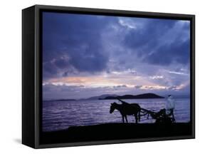 Dawn at Lake Ziway, Central Ethiopia, with the Silhouette of a Horse-Drawn Buggy-Nigel Pavitt-Framed Stretched Canvas