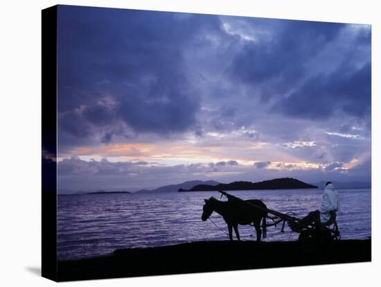 Dawn at Lake Ziway, Central Ethiopia, with the Silhouette of a Horse-Drawn Buggy-Nigel Pavitt-Stretched Canvas