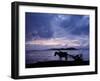 Dawn at Lake Ziway, Central Ethiopia, with the Silhouette of a Horse-Drawn Buggy-Nigel Pavitt-Framed Photographic Print