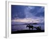 Dawn at Lake Ziway, Central Ethiopia, with the Silhouette of a Horse-Drawn Buggy-Nigel Pavitt-Framed Photographic Print