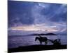 Dawn at Lake Ziway, Central Ethiopia, with the Silhouette of a Horse-Drawn Buggy-Nigel Pavitt-Mounted Photographic Print
