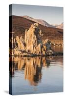 Dawn at Mono Lake, California, United States of America, North America-Jean Brooks-Stretched Canvas