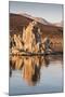 Dawn at Mono Lake, California, United States of America, North America-Jean Brooks-Mounted Photographic Print