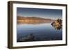 Dawn at Mono Lake, California, United States of America, North America-Jean Brooks-Framed Photographic Print