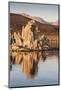 Dawn at Mono Lake, California, United States of America, North America-Jean Brooks-Mounted Photographic Print