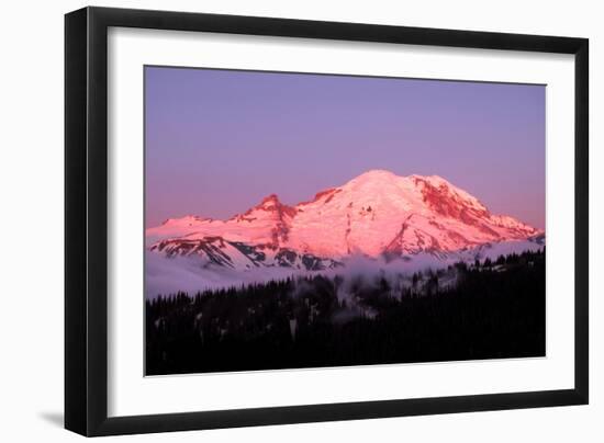 Dawn at Mount Rainier-Douglas Taylor-Framed Photographic Print