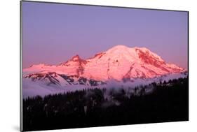 Dawn at Mount Rainier-Douglas Taylor-Mounted Photographic Print