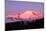 Dawn at Mount Rainier-Douglas Taylor-Mounted Photographic Print