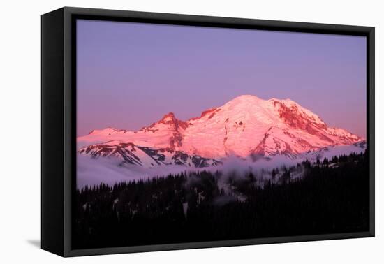 Dawn at Mount Rainier-Douglas Taylor-Framed Stretched Canvas