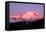 Dawn at Mount Rainier-Douglas Taylor-Framed Stretched Canvas