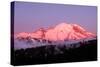 Dawn at Mount Rainier-Douglas Taylor-Stretched Canvas