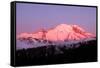 Dawn at Mount Rainier-Douglas Taylor-Framed Stretched Canvas