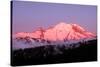 Dawn at Mount Rainier-Douglas Taylor-Stretched Canvas