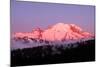 Dawn at Mount Rainier-Douglas Taylor-Mounted Photographic Print